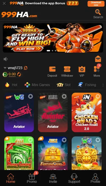 999HA Game